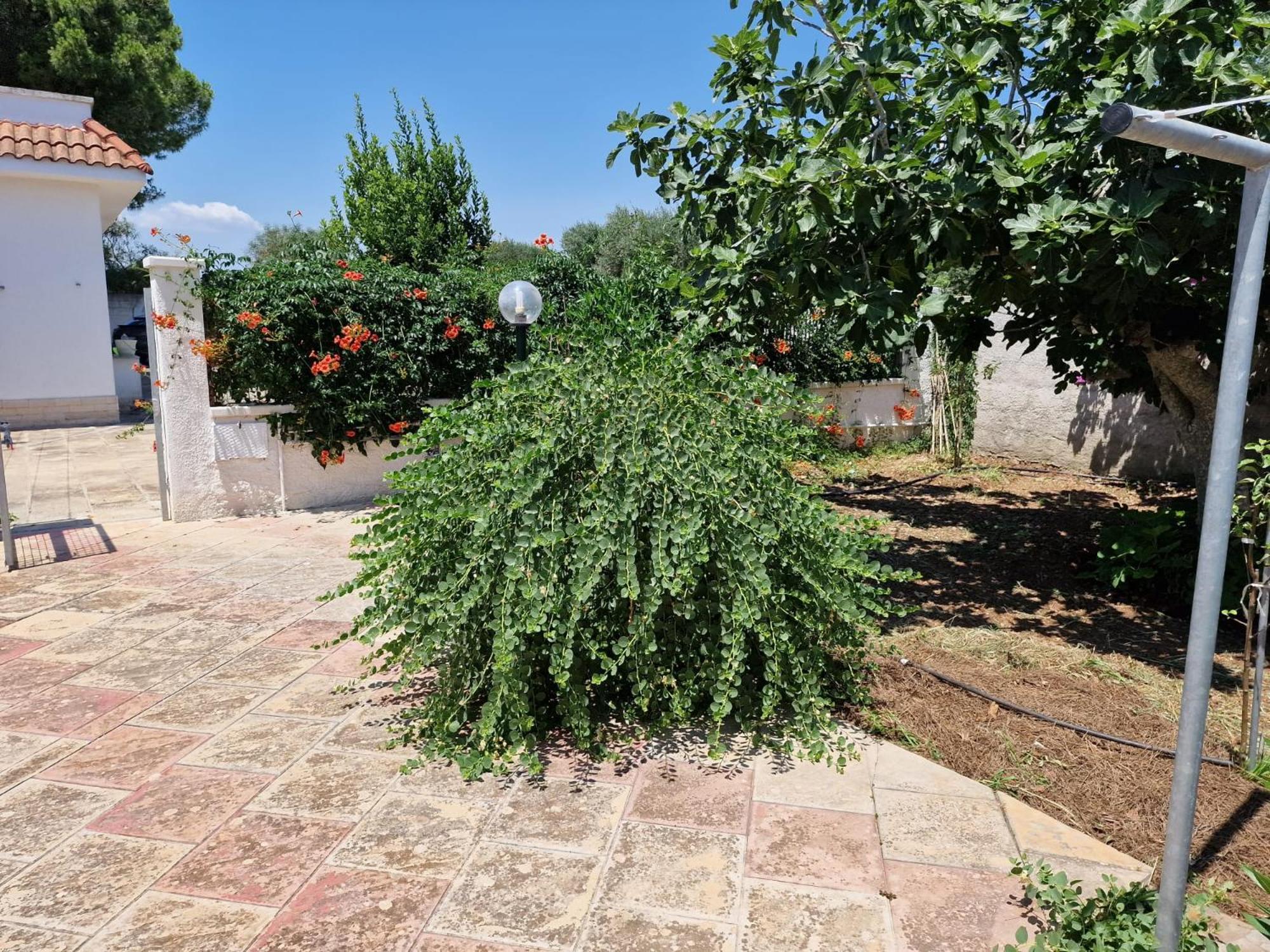 Villa Carmela A San Pietro In Bevagna Buitenkant foto