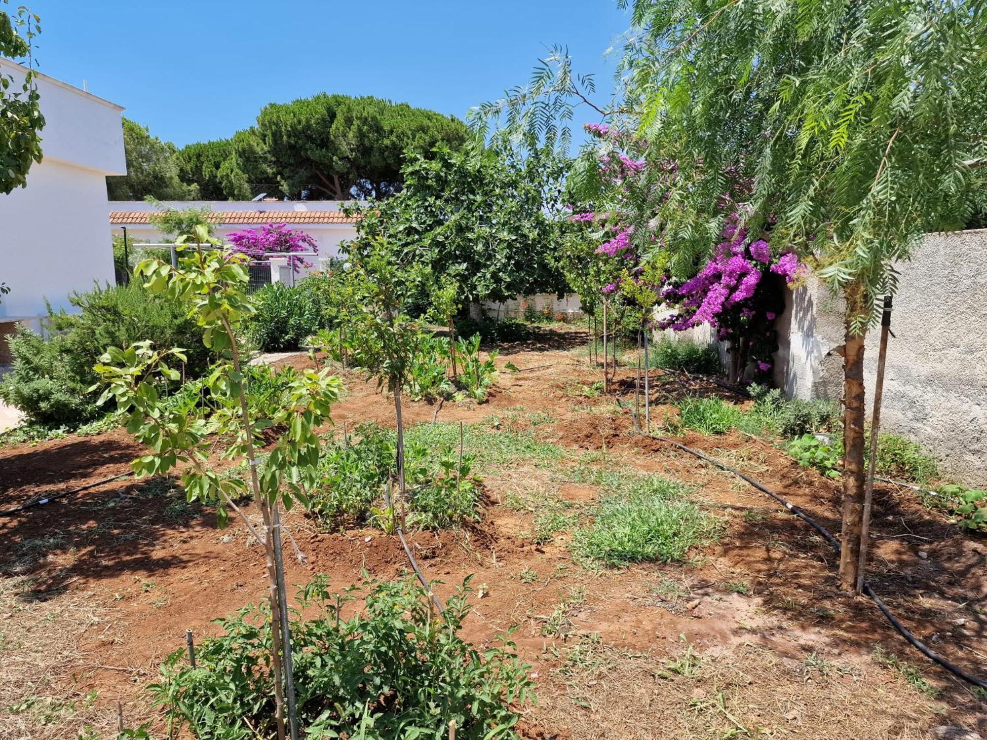 Villa Carmela A San Pietro In Bevagna Buitenkant foto